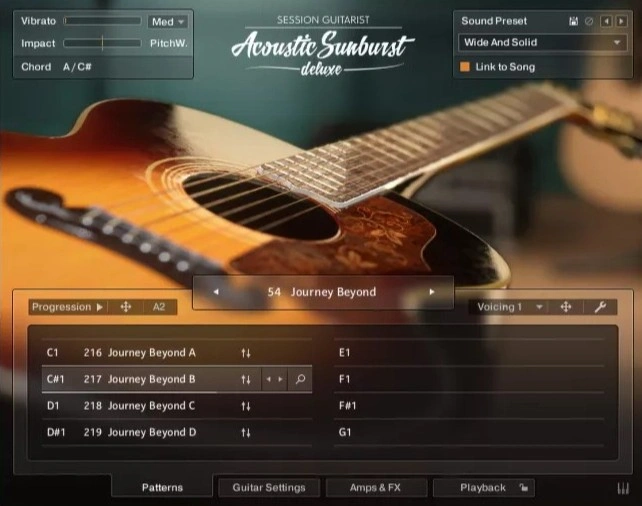 Premium jumbo acoustic sampled with a playable strumming engine and 250+ patterns for realistic guitar parts.